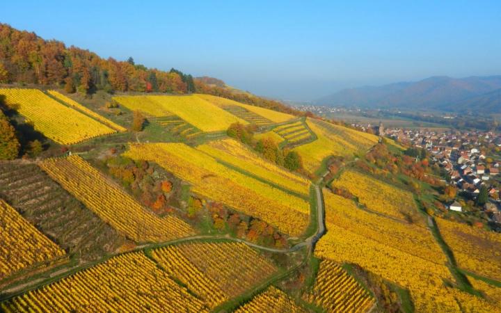 Linsenberg vu du ciel