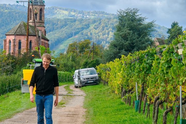Jérôme - vendanges 2024
