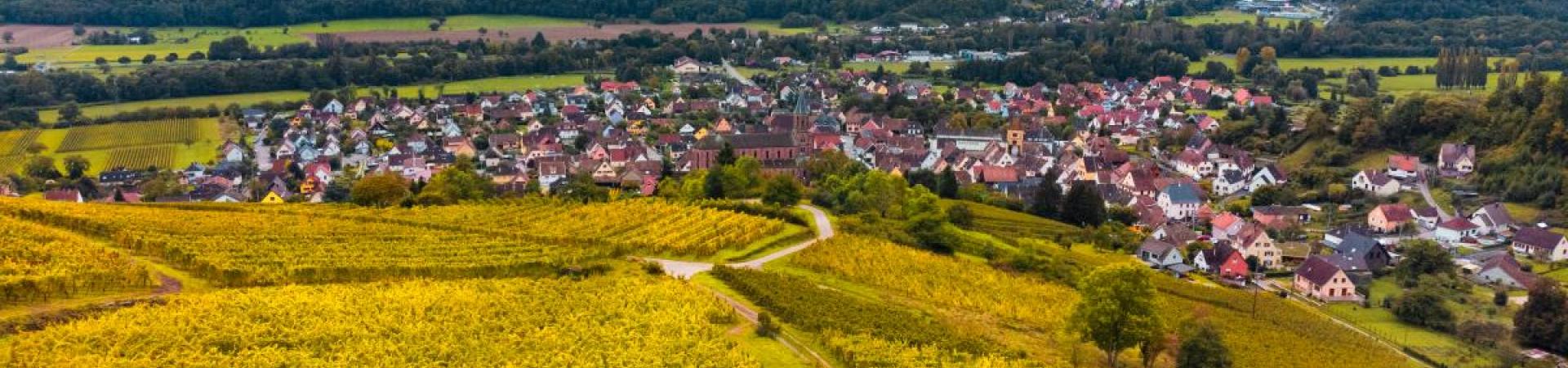 Our winery