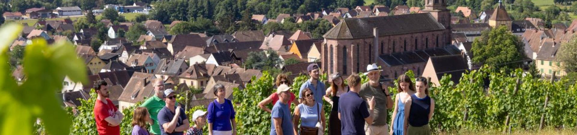Les activités estivales !